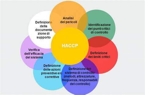 Illustrazione schematica del sistema HACCP con i suoi 7 principi