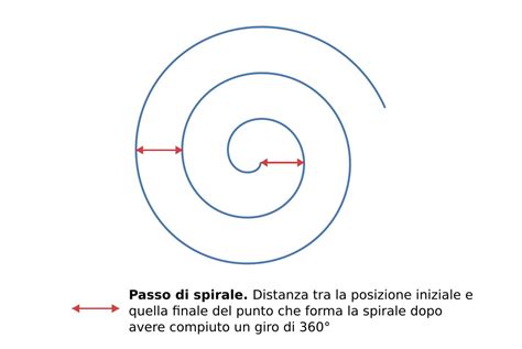 Spirale per lo sviluppo fotografico