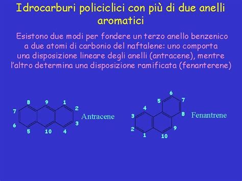 Diagramma comparativo dei profili aromatici di IPA inglesi e americane