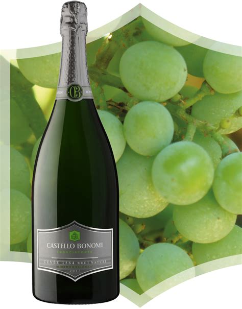 Grappoli di Chardonnay e Pinot Nero in Franciacorta