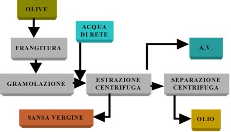 Diagramma che illustra le fasi del processo di molitura dell'olio d'oliva