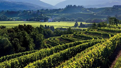 Vigneti del Friuli-Venezia-Giulia