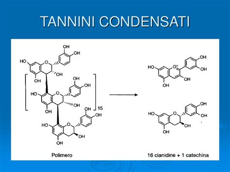 Struttura chimica dei tannini idrolizzabili e condensati