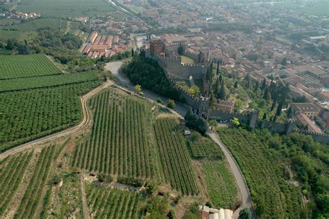 Vigneti del Soave con il Monte Tenda sullo sfondo