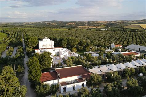 Panorama della Tenuta Montevitolo con ulivi e architettura bianca