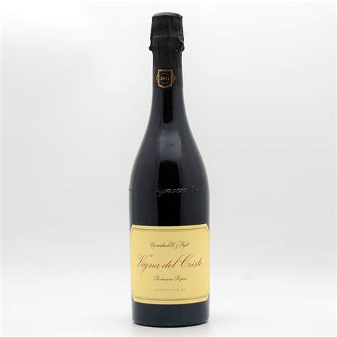 Lambrusco di Sorbara in vigna