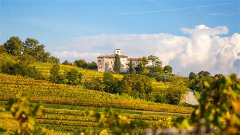 Panorama dei Colli Orientali del Friuli con vigneti