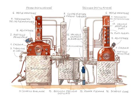 Schema interfaccia alambicco