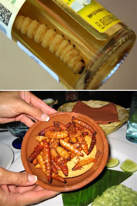 Bottiglia di Mezcal con gusano