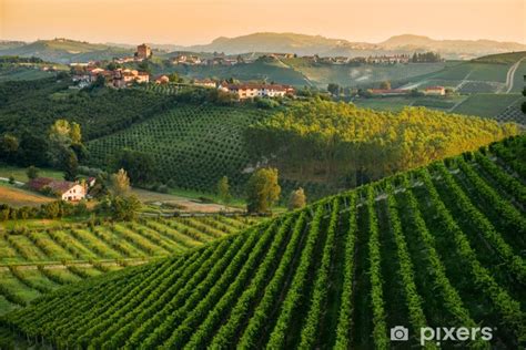 Panorama collinare dell'Irpinia con vigneti