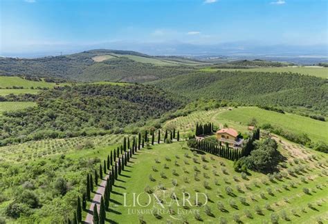 Vista panoramica della tenuta Feudo Antico con vigneti e cantina