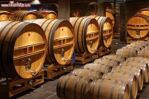 Botti di rovere in una cantina