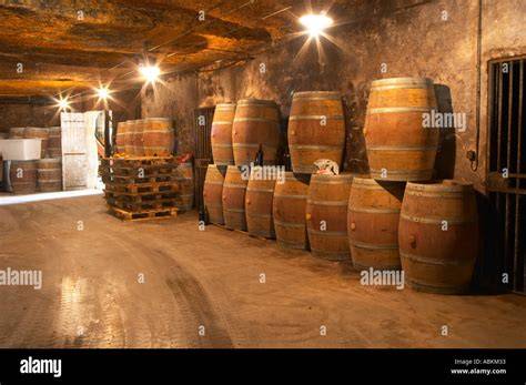 Diagramma della struttura sotterranea di una cantina moderna