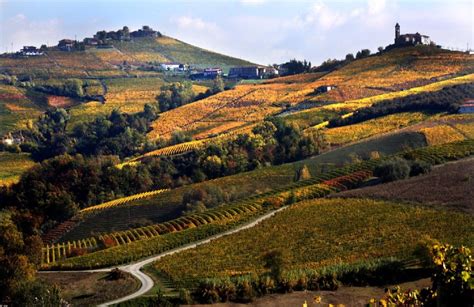 Colline del Monferrato con vigneti