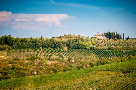Paesaggio del Chianti con vigneti e uliveti