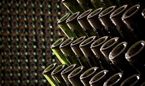 Le bottiglie di Ferrari disposte in pupitre per il remuage