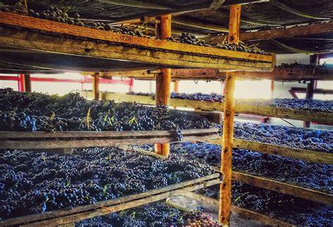 Antico fienile toscano per l'appassimento delle uve