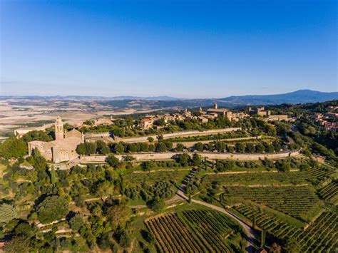 Vigneti di Montalcino sotto il sole