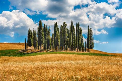 Val d'Orcia con cipressi