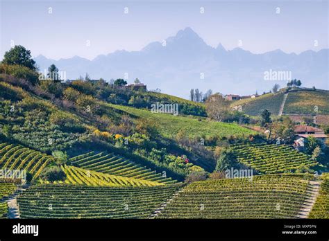 Panorama di Salorno con vigneti