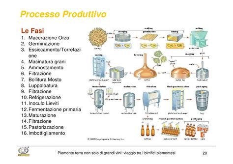 Diagramma che illustra i processi di dealcolazione industriale e fermentazione controllata artigianale