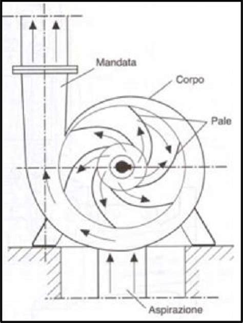 Schema di una pompa centrifuga per lavaggio serbatoi