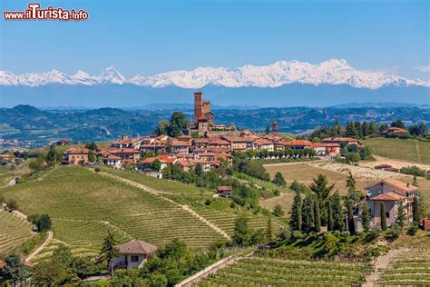 Panorama collinare del Monferrato
