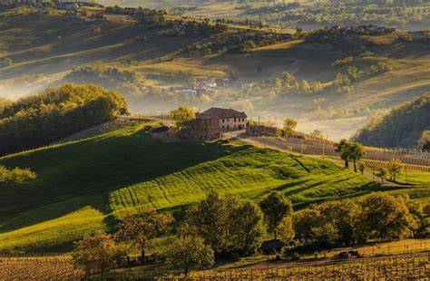 Colline dell'Oltrepò Pavese con vigneti