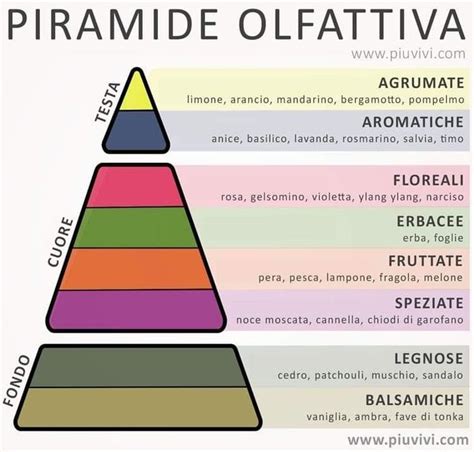 Piramide olfattiva dei vini con descrizioni aromatiche