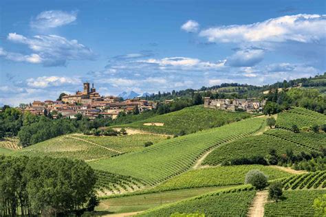 Paesaggio collinare del Monferrato