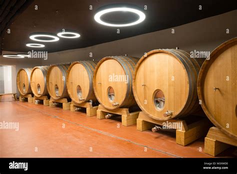 Cantina con botti di vino