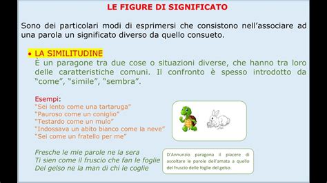 Illustrazione di una similitudine tra due oggetti