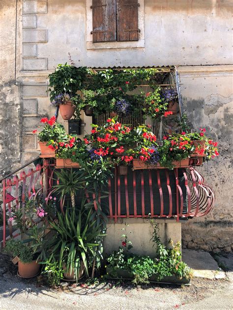 Borgo di Verteneglio con pergolati di viti e balconi fioriti