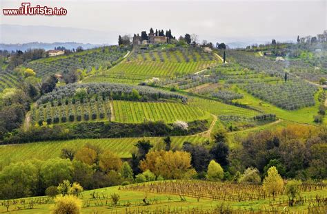 Paesaggio collinare della Basilicata