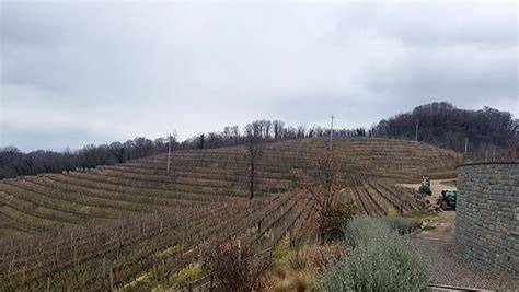 Vigneti terrazzati alle pendici del Monte Amiata
