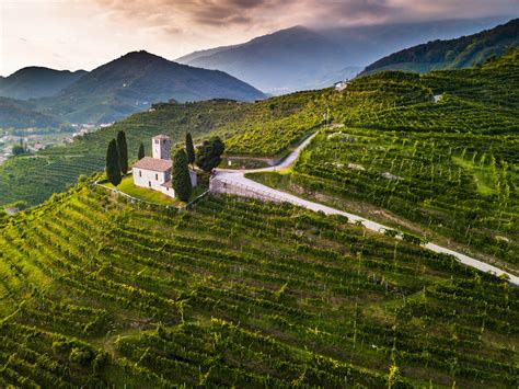 Vigneti della Marca Trevigiana