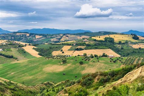 Panorama delle colline del Montepulciano d'Abruzzo