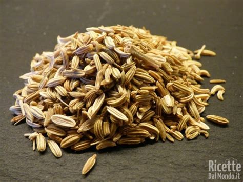 Semi di anice stellato e finocchio selvatico