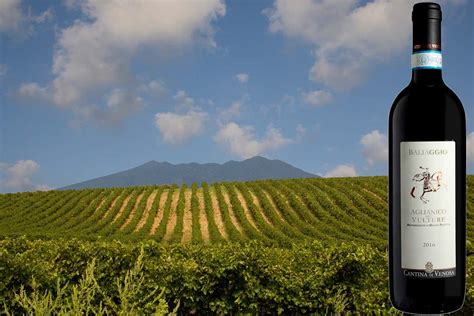 Vigneti dell'Irpinia con Aglianico