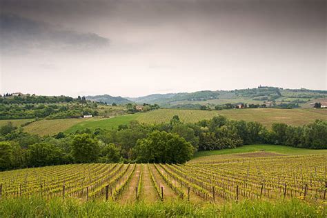 Paesaggio collinare con vigneti in Sardegna