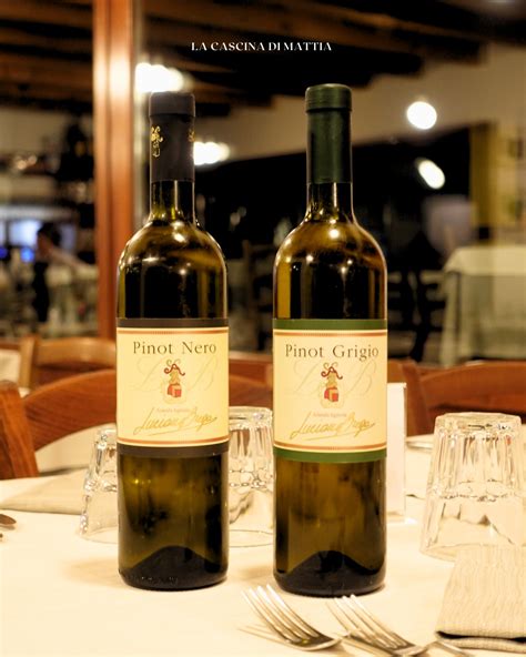 Calice di Pinot Grigio con sfondo sfocato