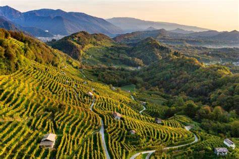Panorama delle colline del Prosecco Conegliano Valdobbiadene