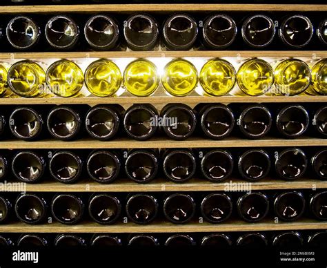 Interno di un'enoteca con bottiglie di vino disposte su scaffali