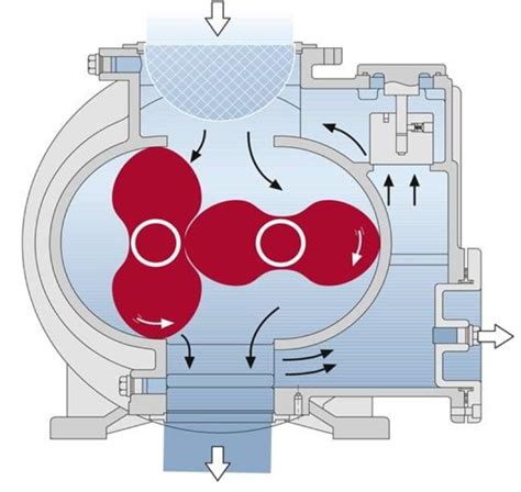 Schema di funzionamento pompa a lobi