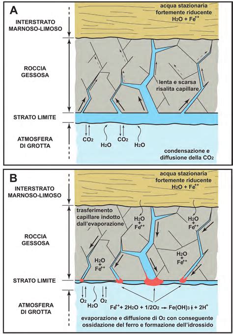 Diagramma chimico dell'ossidazione del ferro in vino