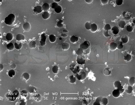 Microscopio di vino con particelle di casse