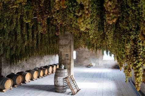 Cassa per appassimento uva con fori per ventilazione