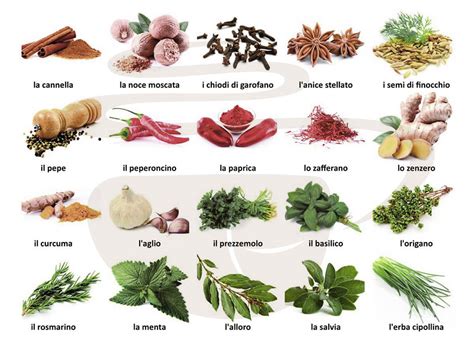 Erbe aromatiche e spezie per liquori