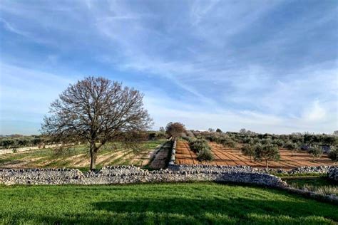 Panorama della Valle d'Itria con trulli