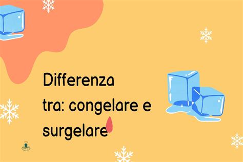 Infografica che riassume le principali differenze tra congelamento e surgelazione